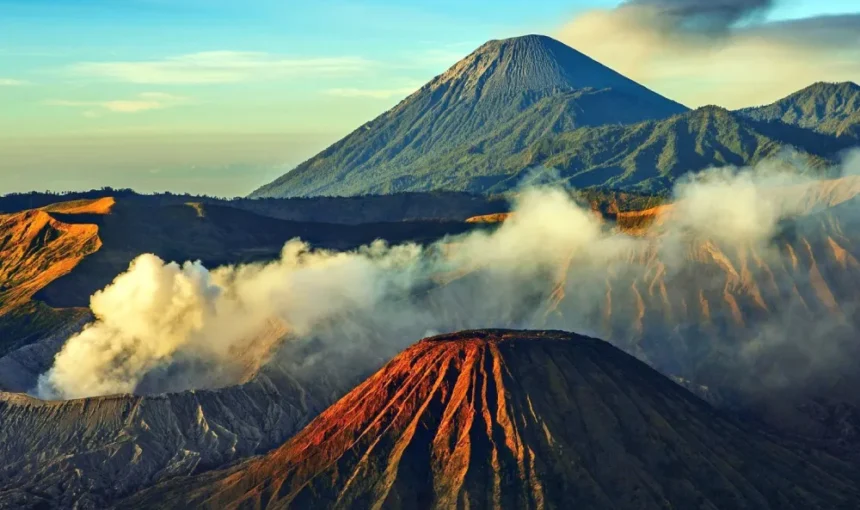 What Makes Mount Meru’s Ecosystem Unique