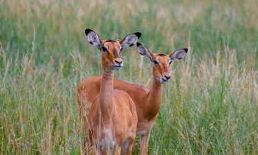 6 Days Tanzania Landscape Photography Tour