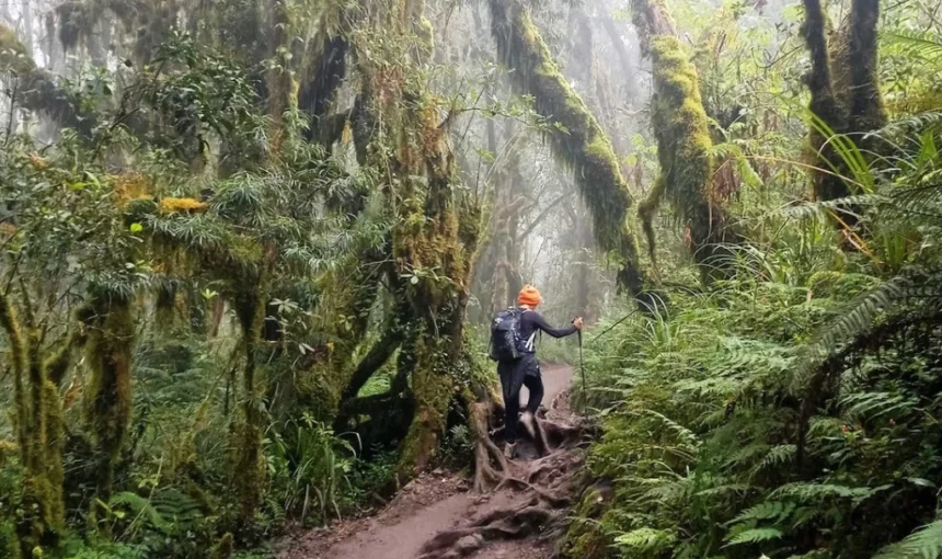 Maundi Crater altitude and elevation