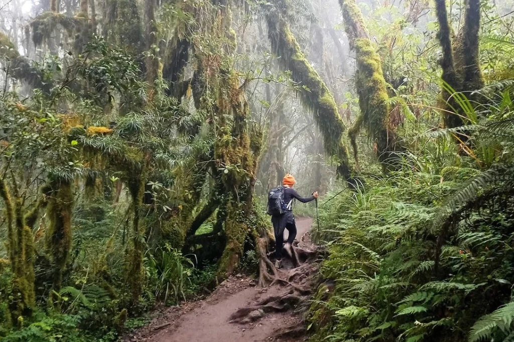 Maundi Crater altitude and elevation