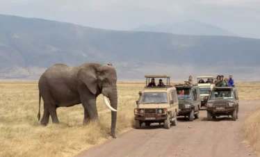 8 Days Tanzania Ultimate Photography Expedition