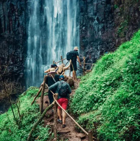 1 Day Udzungwa Sanje Waterfalls hiking