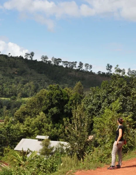 1 Day Usambara Mountains -Irente Viewpoint and waterfall hike