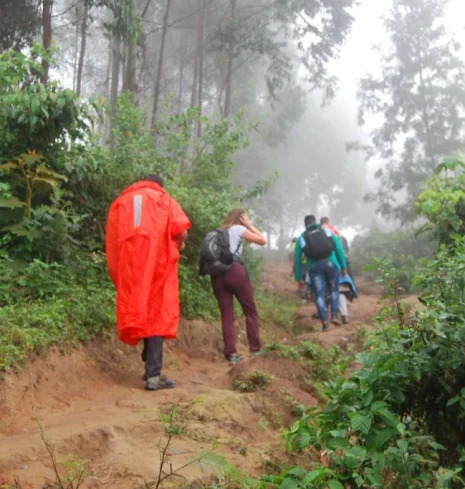 1 Day Usambara Mountains