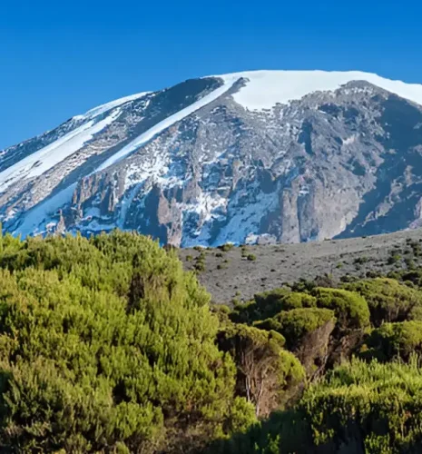 5 Days Kilimanjaro Umbwe Route