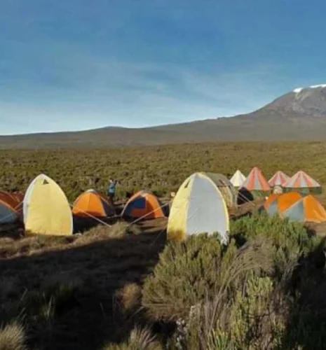6 Days Kilimanjaro Rongai