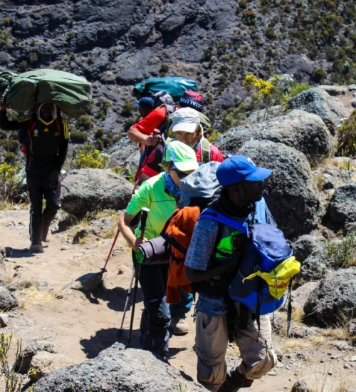 6 Days Shira Route climb