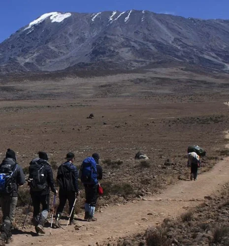 6 Days Trek -Shira route