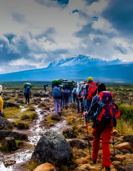 7 Days Kilimanjaro Climb Shira