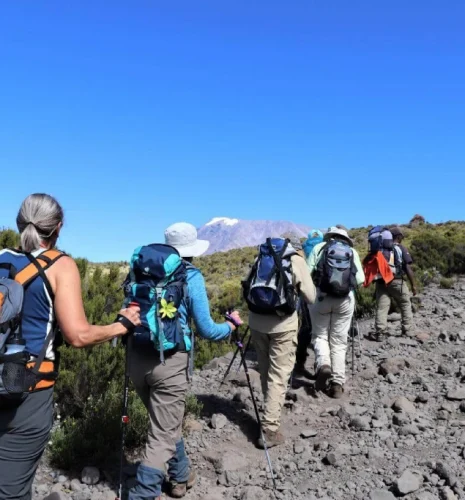 7 Days Kilimanjaro Shira route Trek