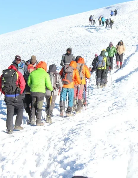 7 Days Machame Route Kilimanjaro Trek