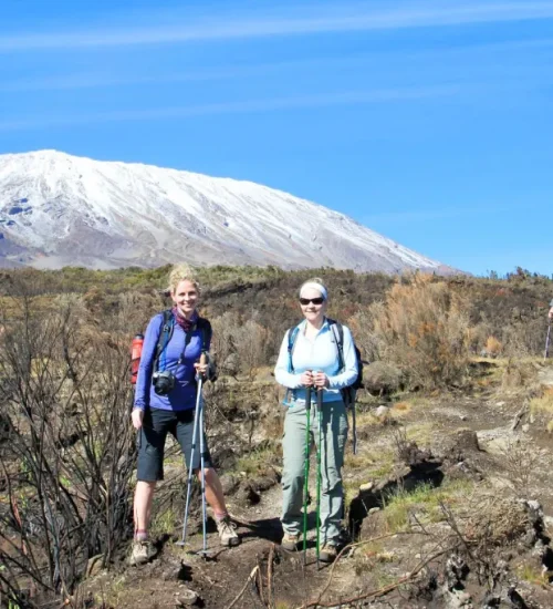 7 days rongai route kilimanjaro trek