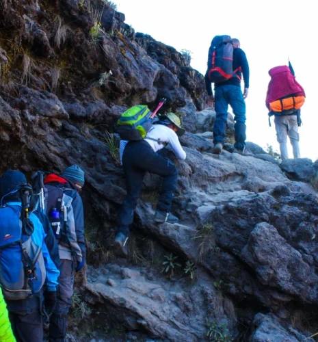 8 Days Kilimanjaro Northern Circuit Route