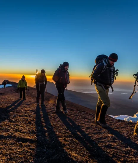 9 Days Lemosho Route