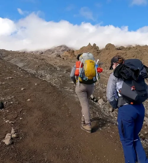 9 Days Northern Circuit Route Kilimanjaro Trek