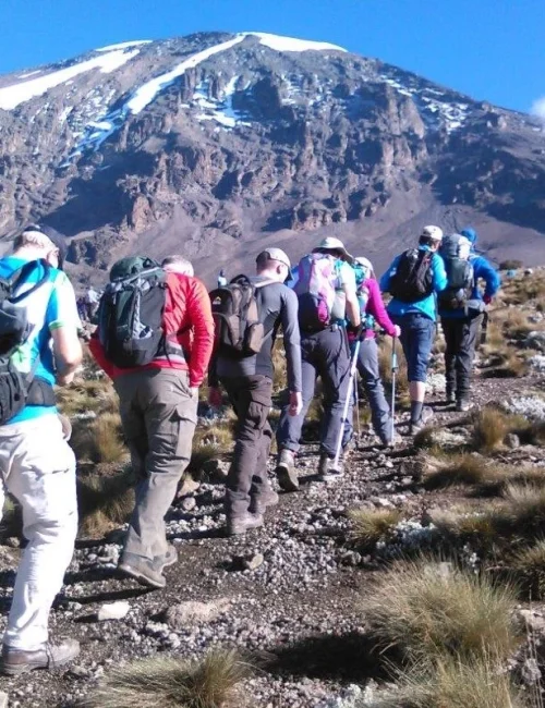 Trek Kilimanjaro via Lemosho Route
